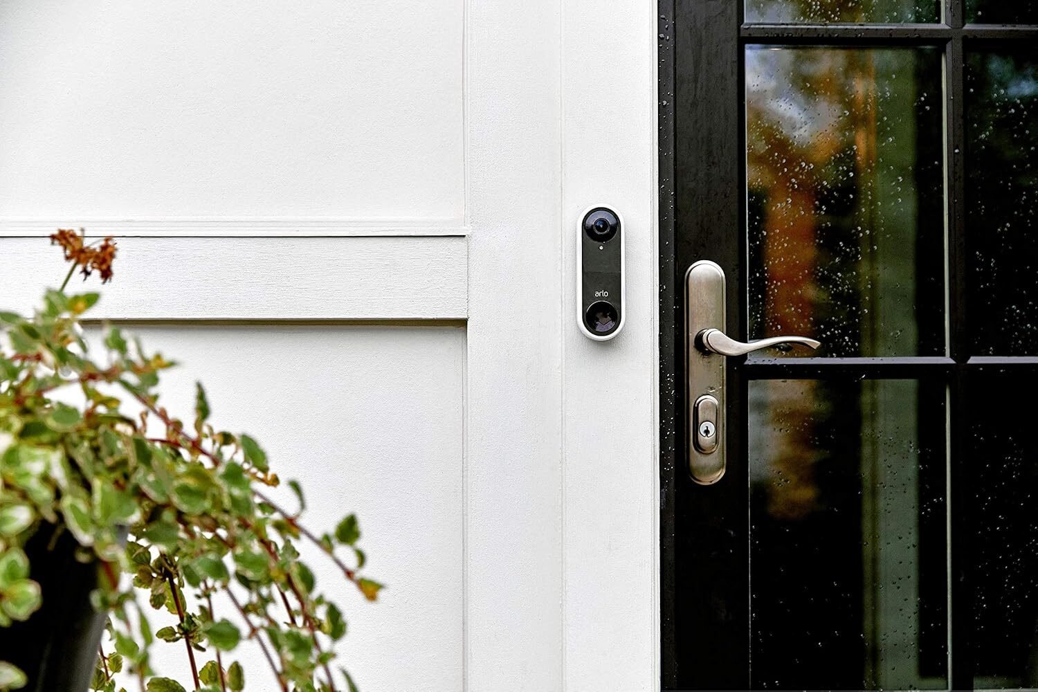 91fn5YwWNrL._AC_SL1500_